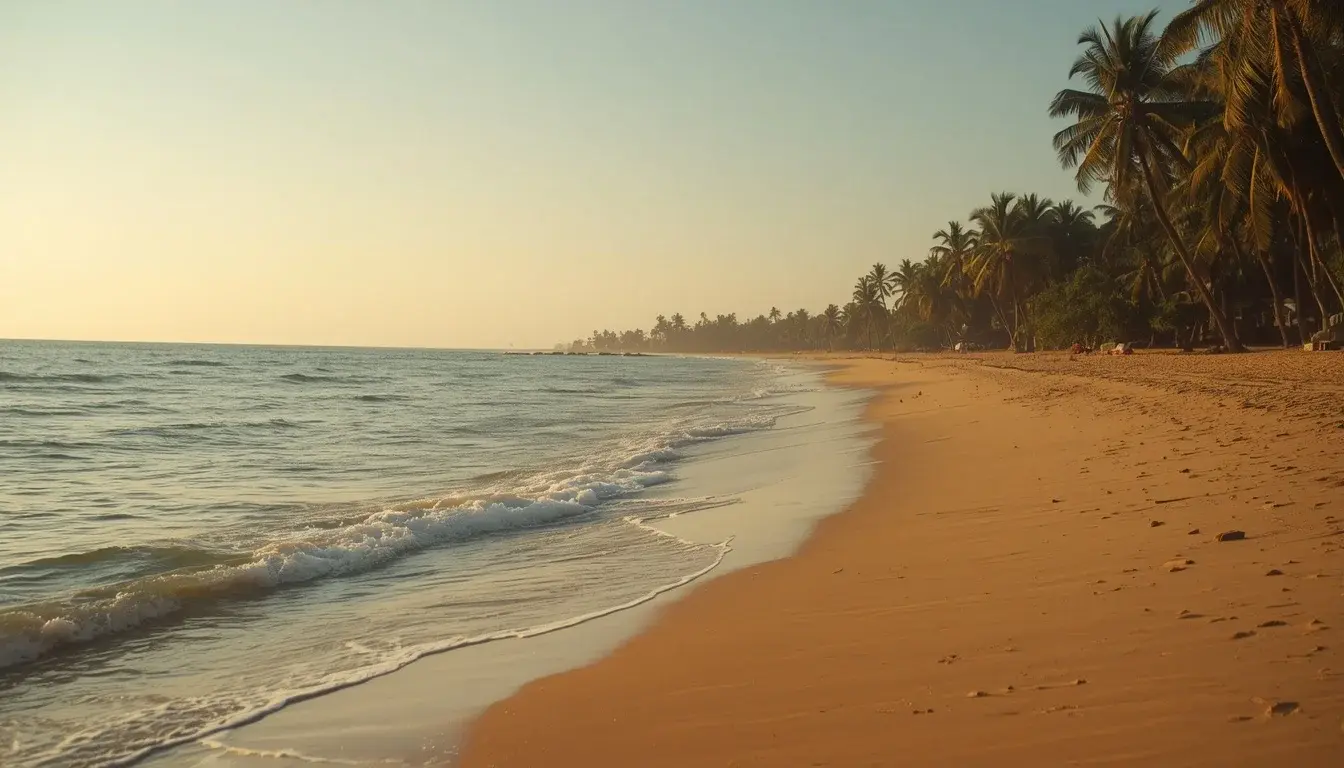 Quiet golden sand beach at Oruwella with gentle waves and palm trees leaning over the shore