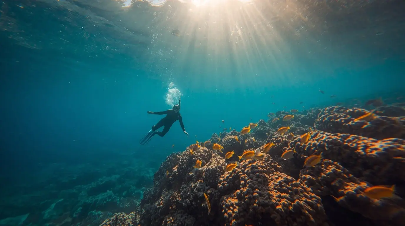 Snorkeler swimming over a sunlit coral reef with tropical fish off Hikkaduwa